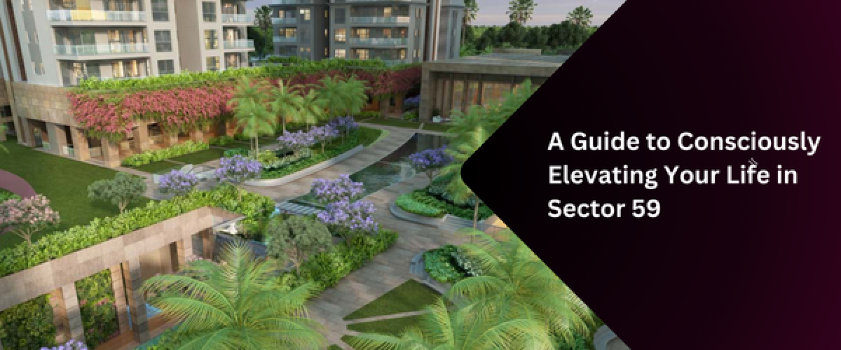 a-guide-to-consciously-elevating-your-life-in-sector-59