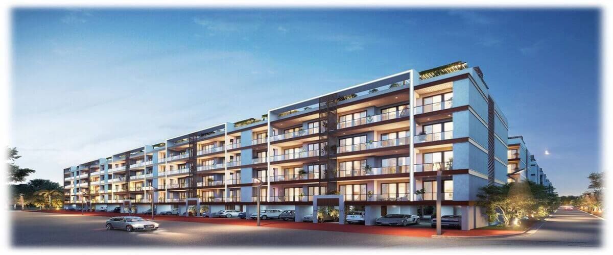 common-questions-about-adani-samsara-ivana-answered