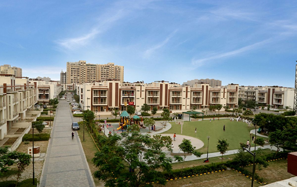 orchid-island-a-blend-of-sophistication