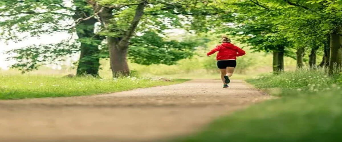 paras-the-florett-enclave-sector-59-gurugram-discover-the-best-in-modern-residential-comfort