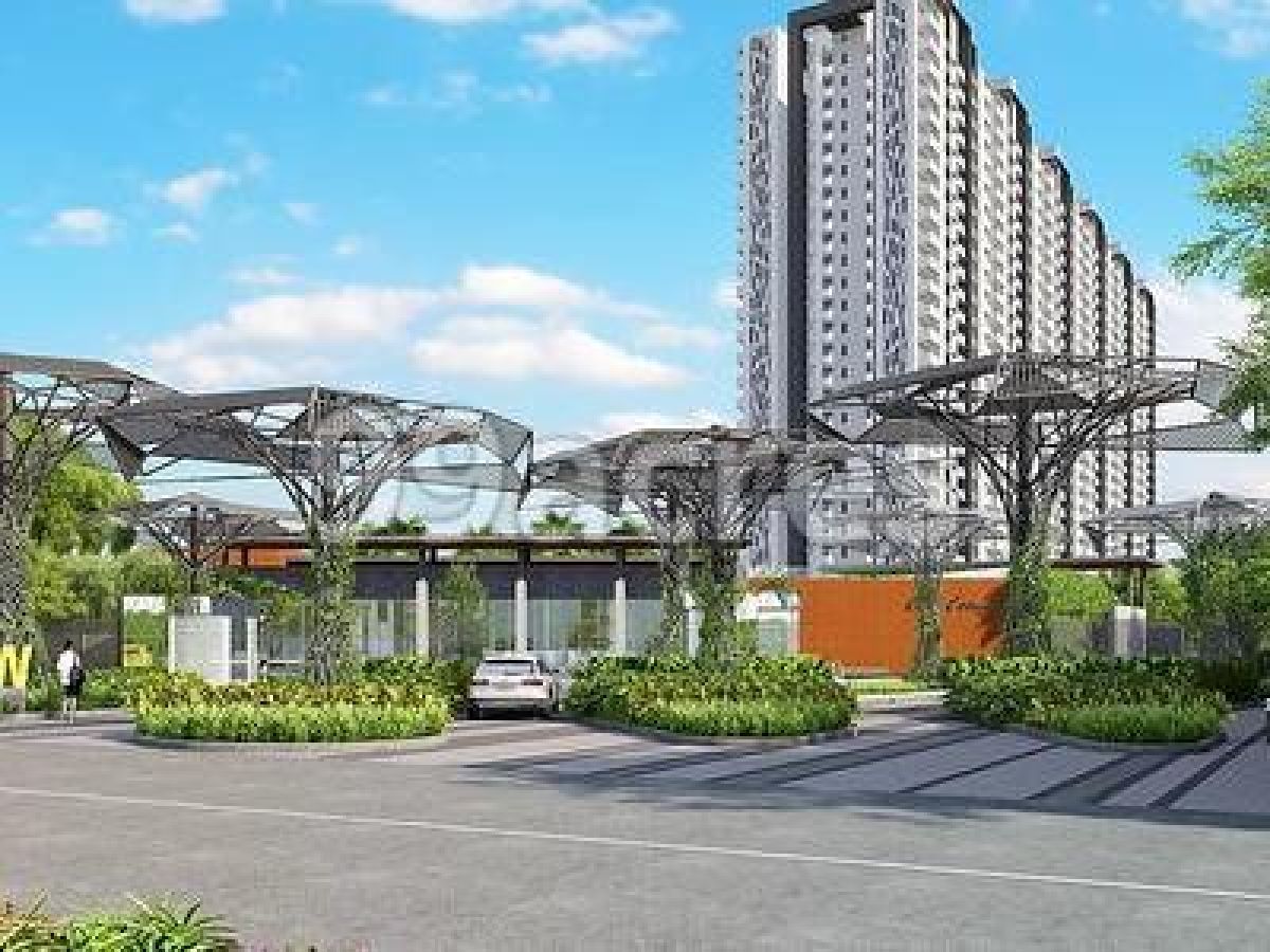 tulip-yellow-its-millennium-city-status