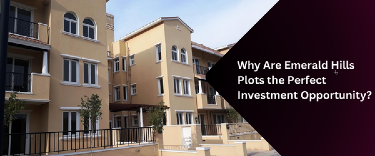 why-are-emerald-hills-plots-the-perfect-investment-opportunity